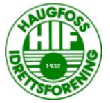 Haugfoss 2